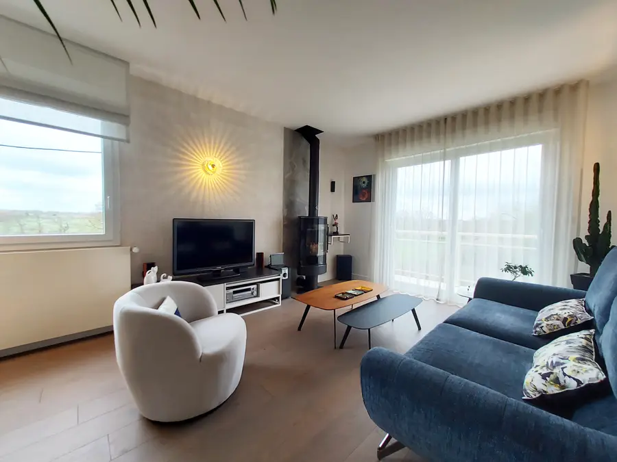 Salon avec vue dégagée, poêle à bois, canapé contemporain, meuble TV sur-mesure